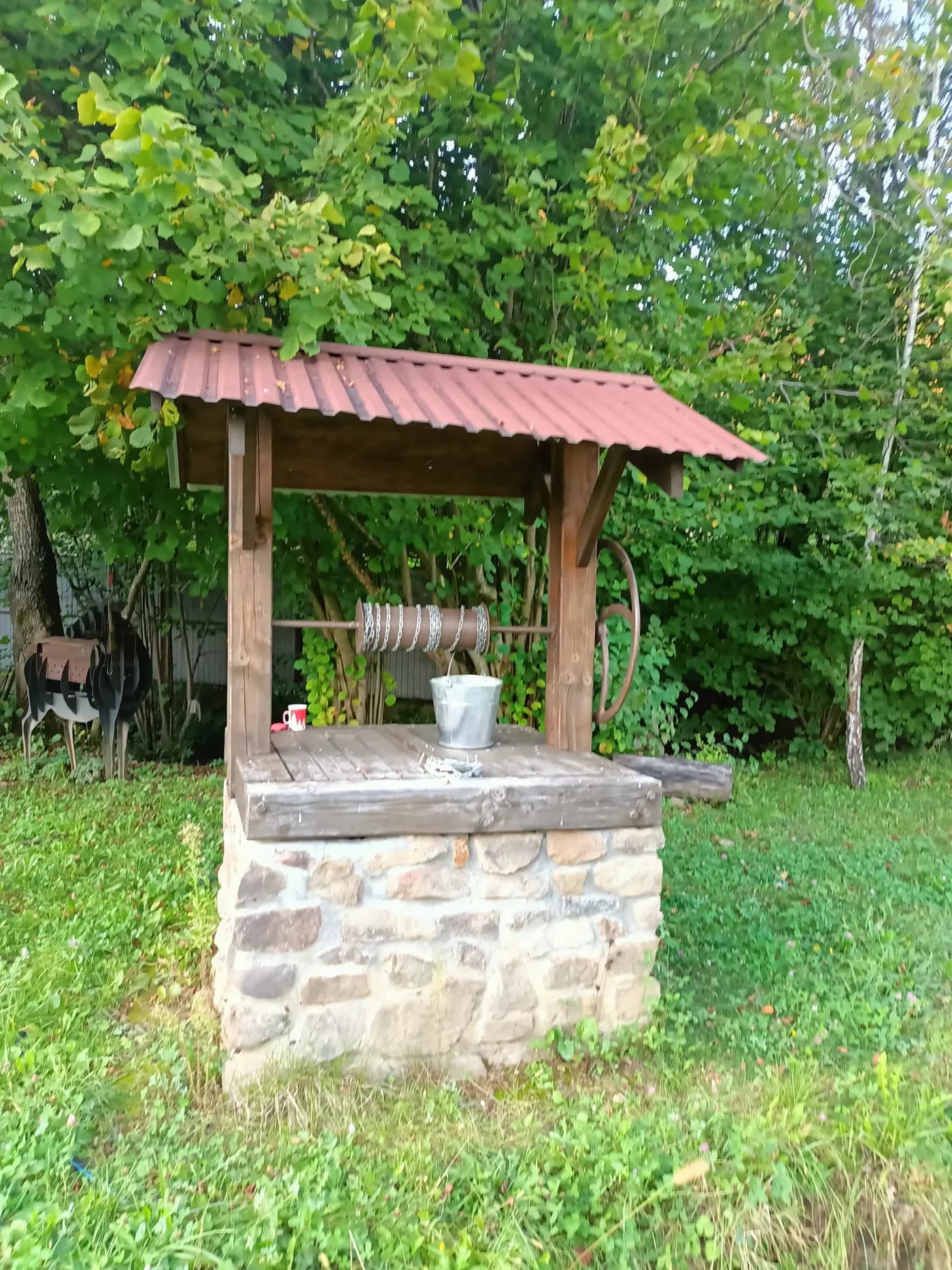 Територія навколо it.hutorok, фото 3